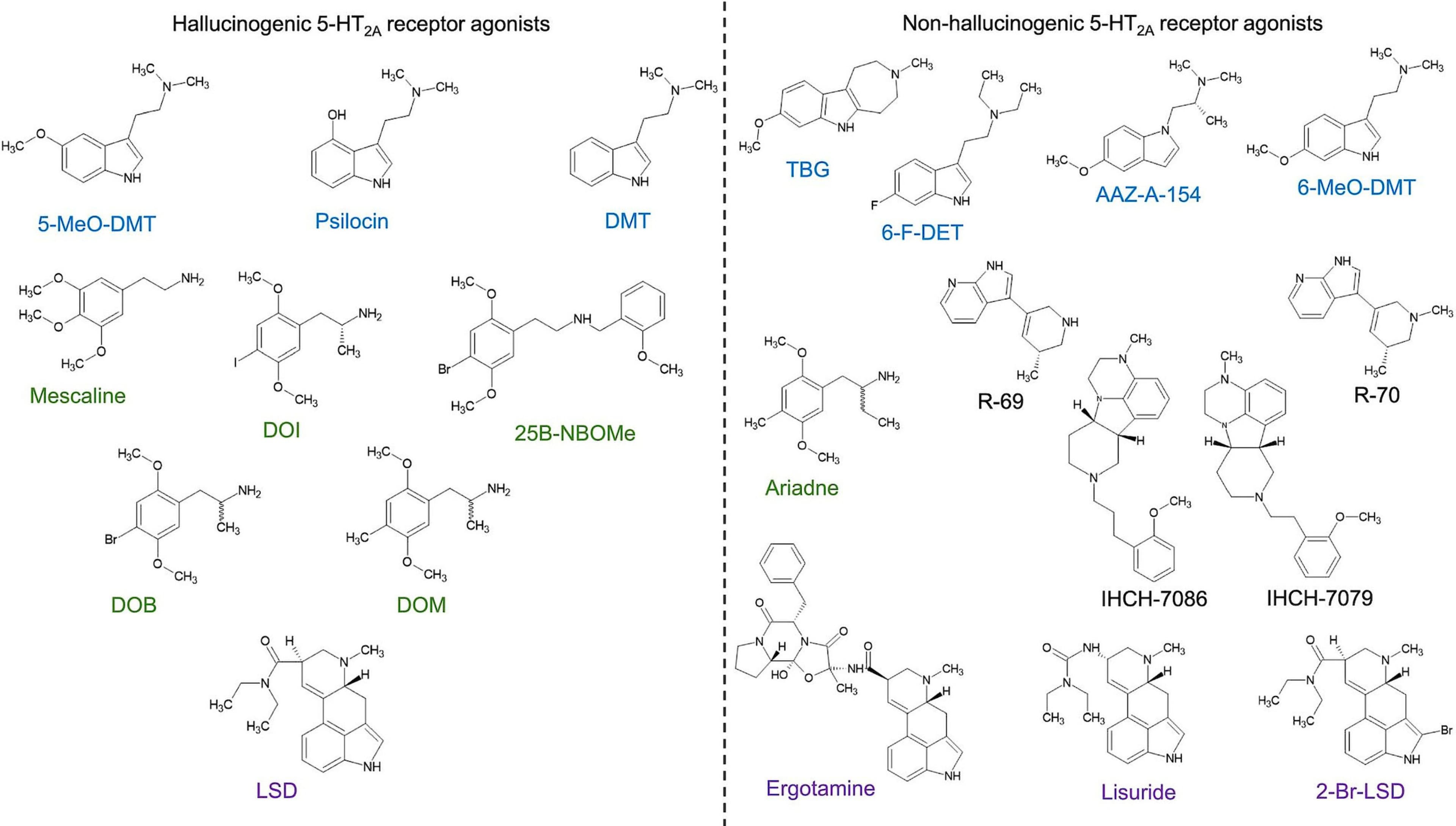 經典啟靈藥 與 NHPs 的化學結構